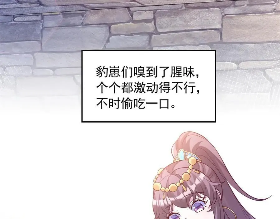 662 第41页