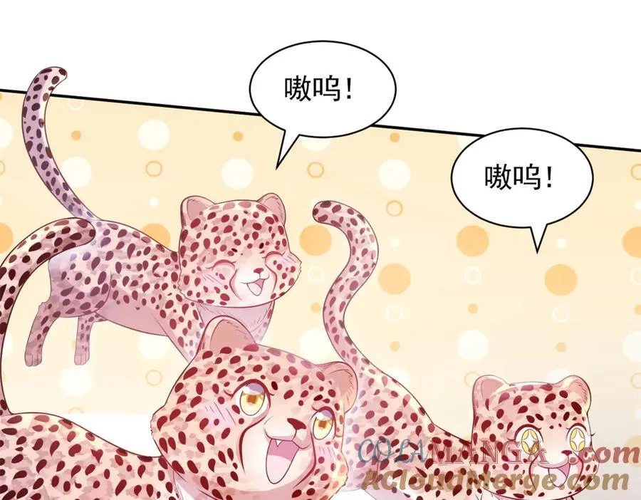 664 第40页