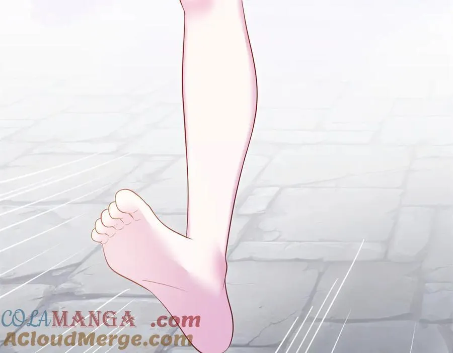 664 第67页
