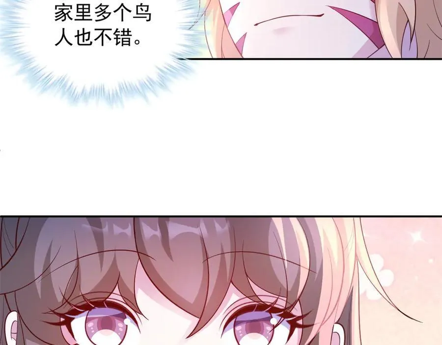 667 第41页