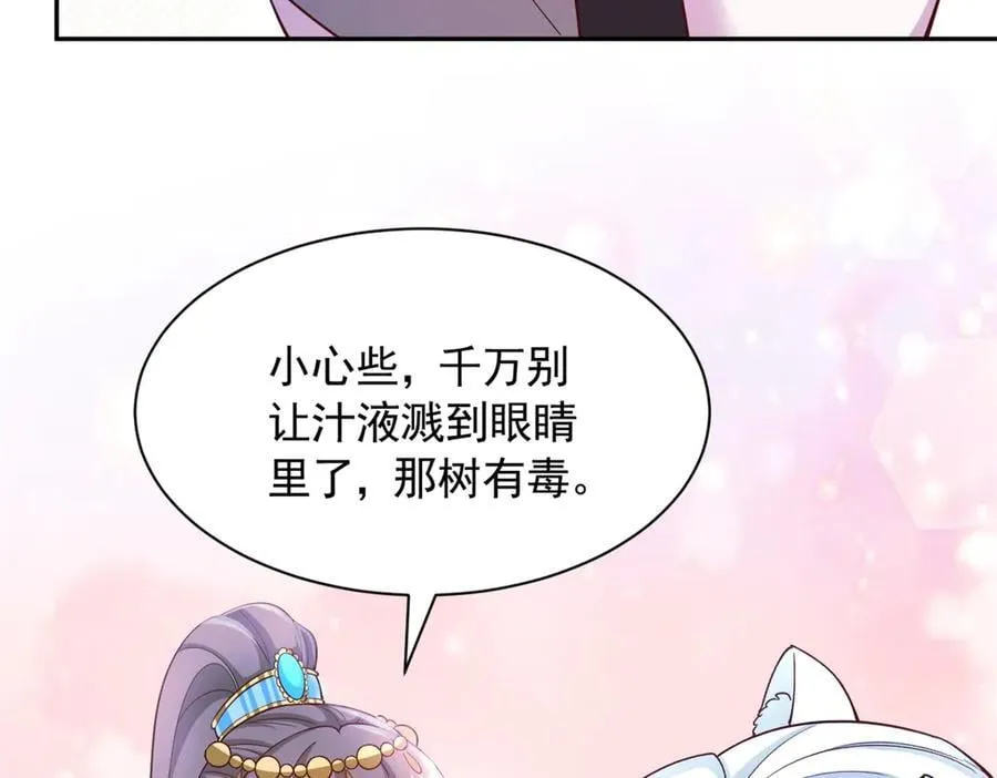 667 第71页