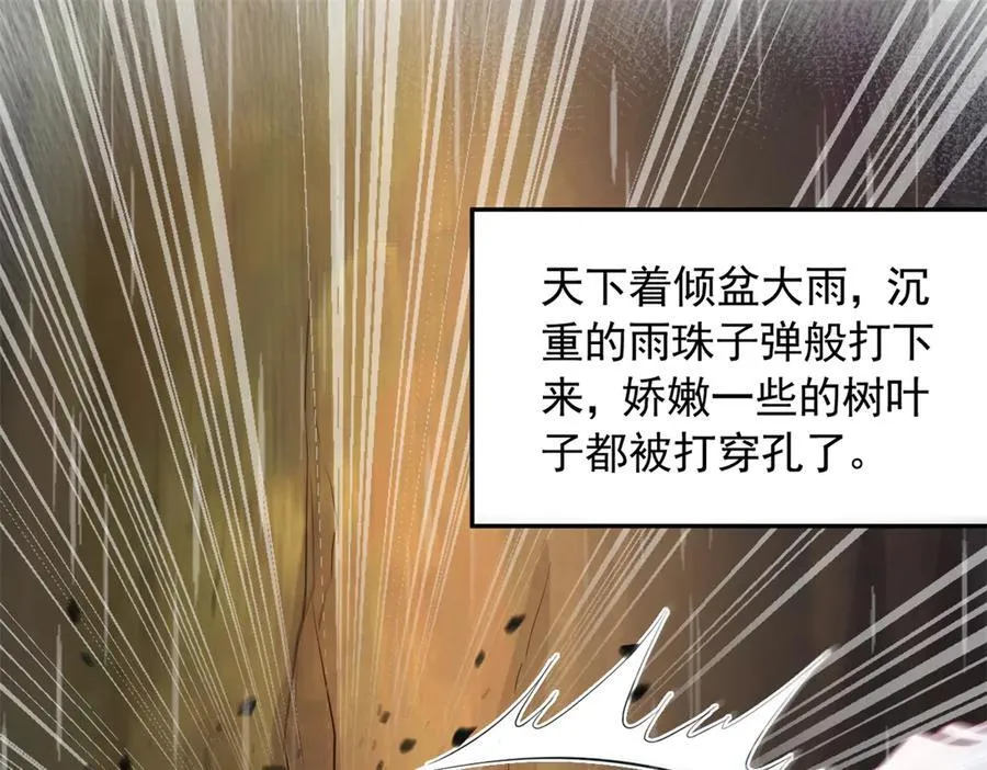 668 第17页