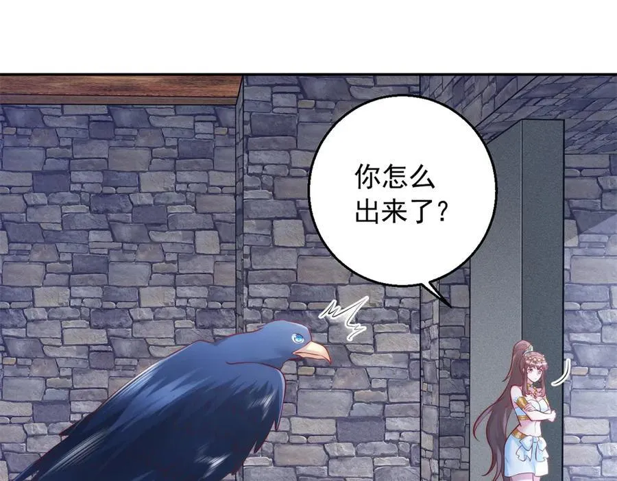 668 第41页