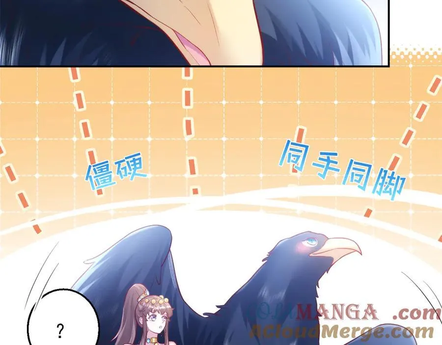 668 第43页
