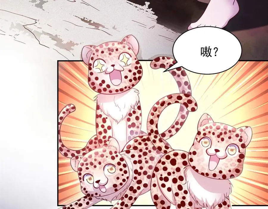 669 第56页