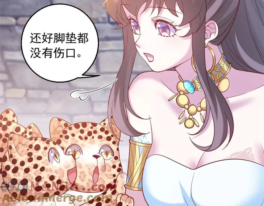 669 第67页