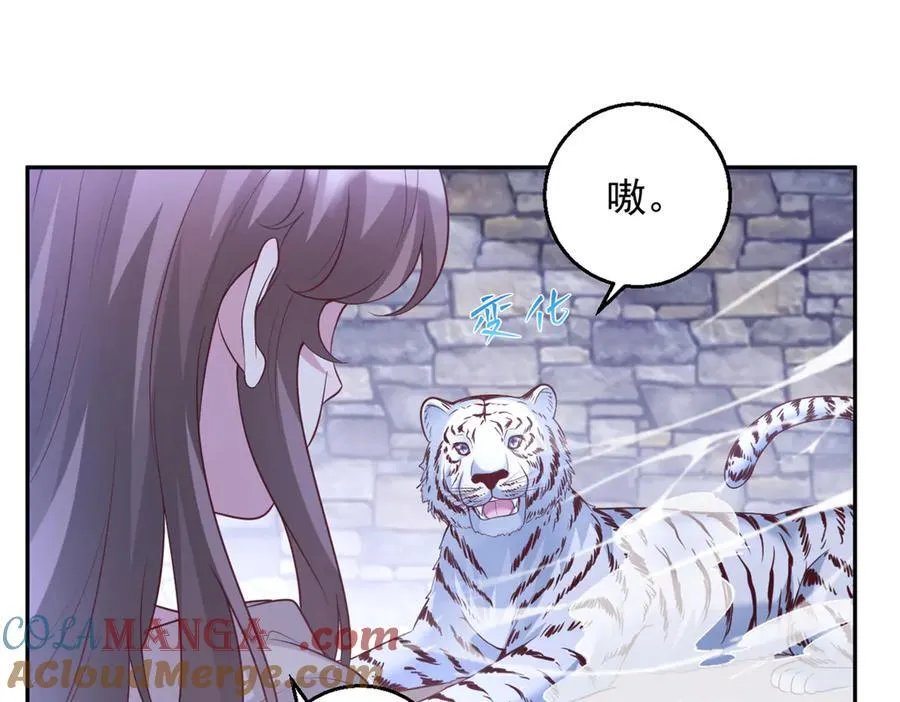 670 第82页