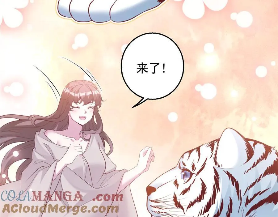 670 第85页