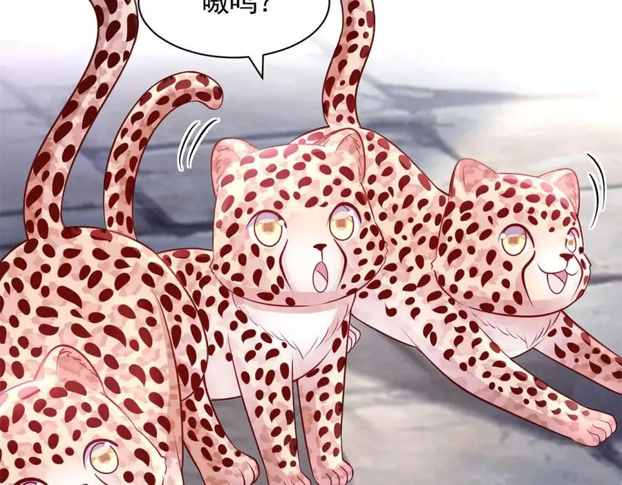 673 第50页
