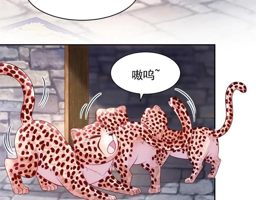 674 第3页