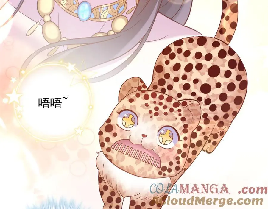 674 第16页