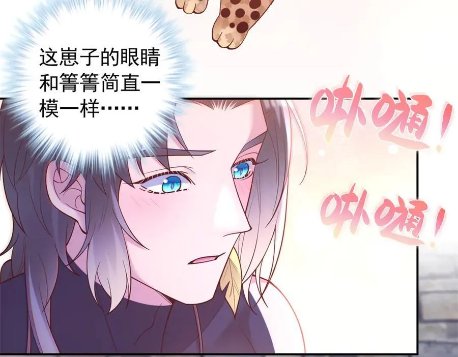 674 第17页