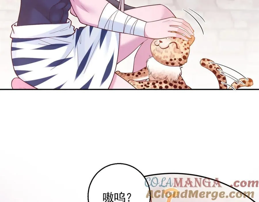 674 第19页