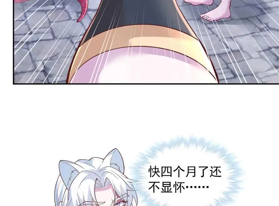 675 第48页