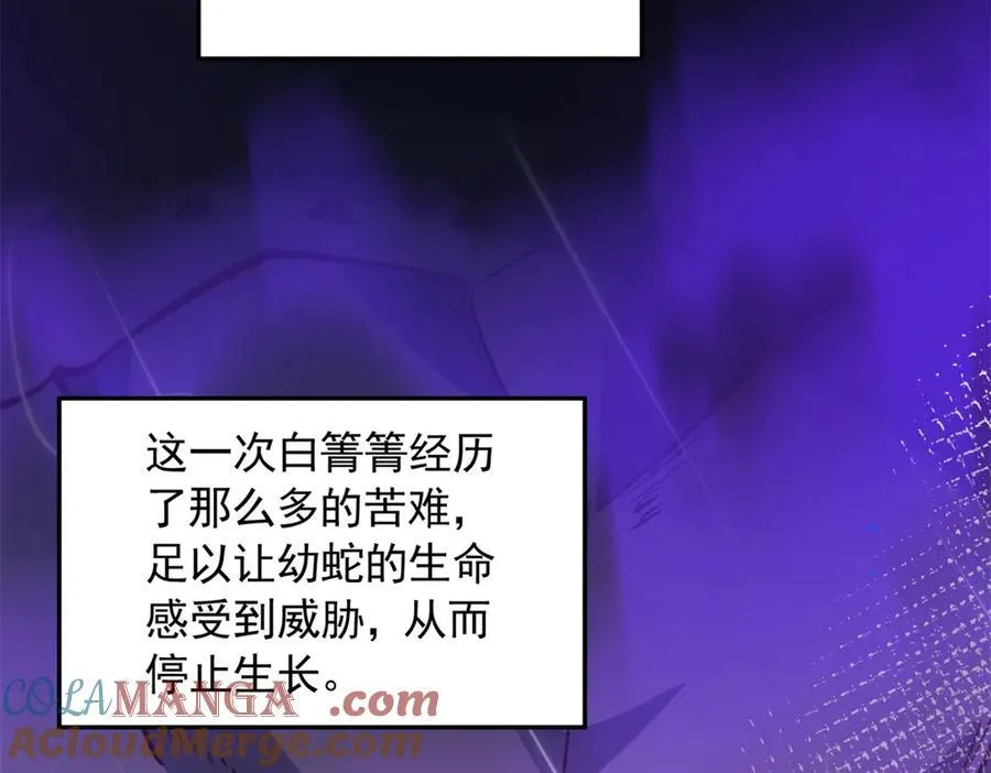 677 第55页