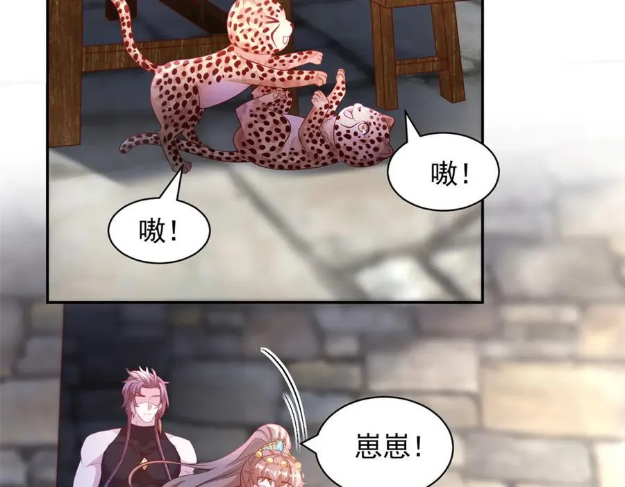 679 第47页