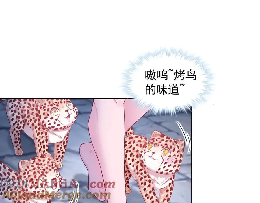 679 第67页