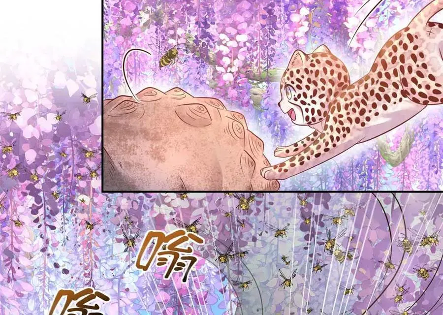 681 第20页