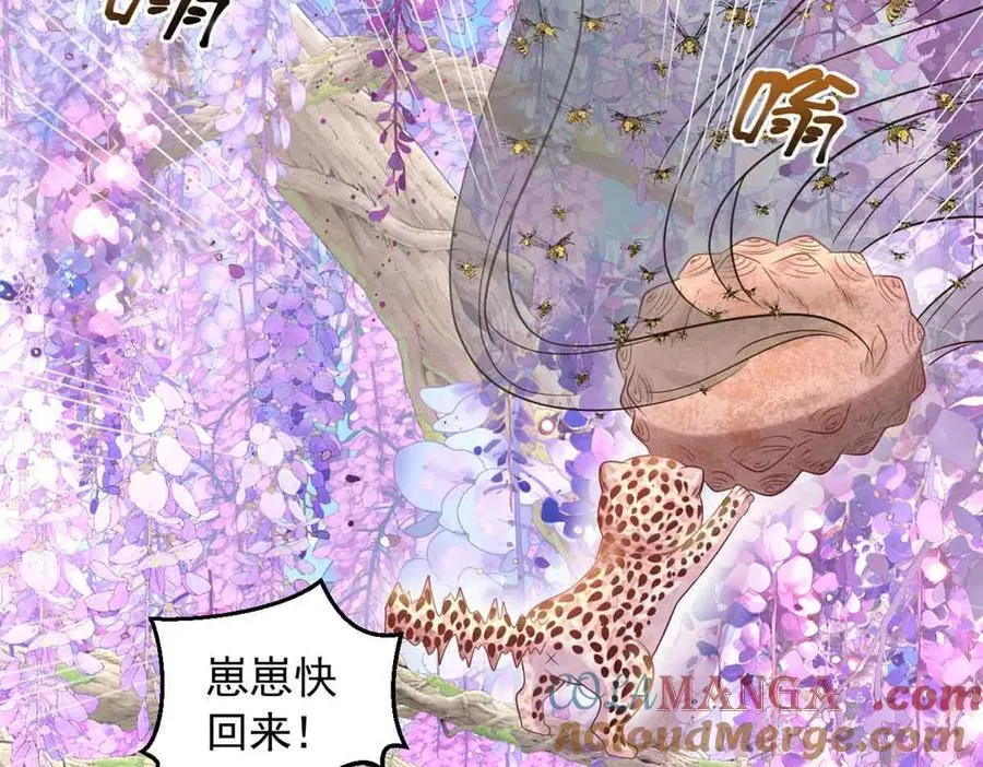 681 第21页