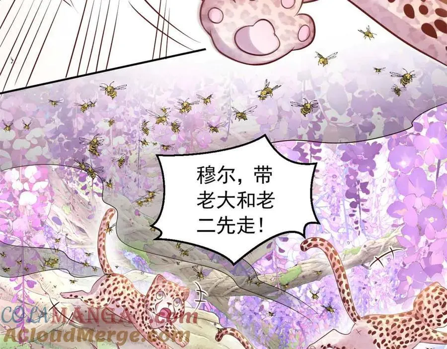 681 第25页