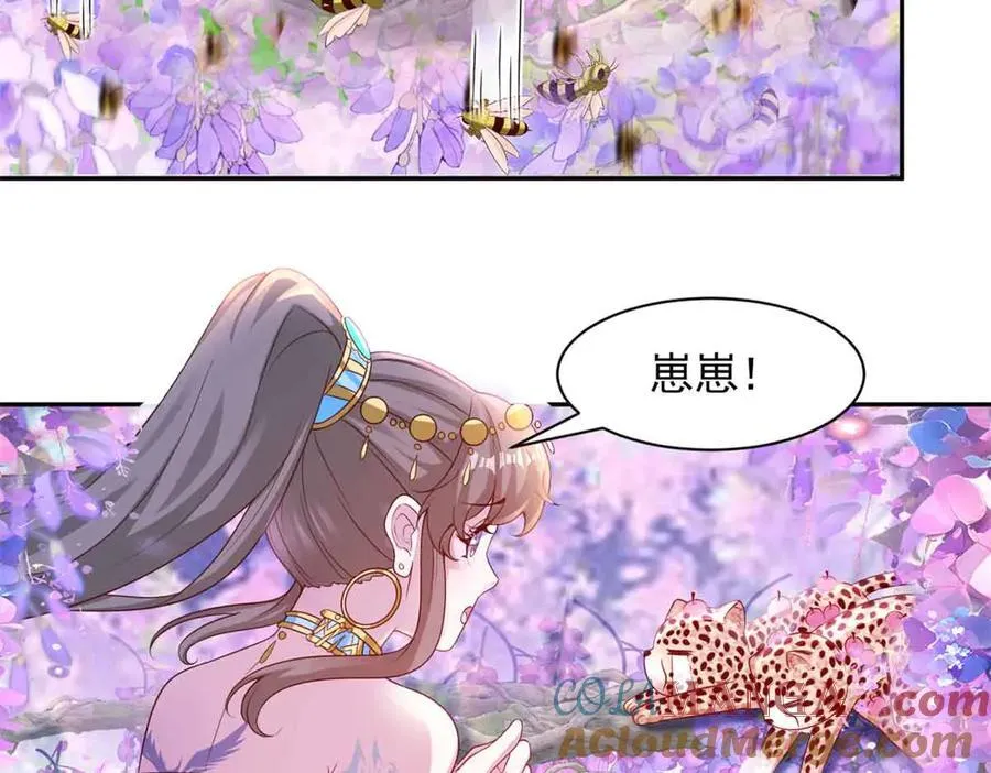 681 第41页