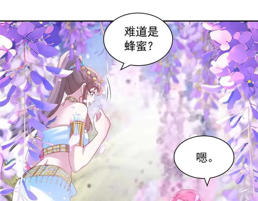 681 第55页