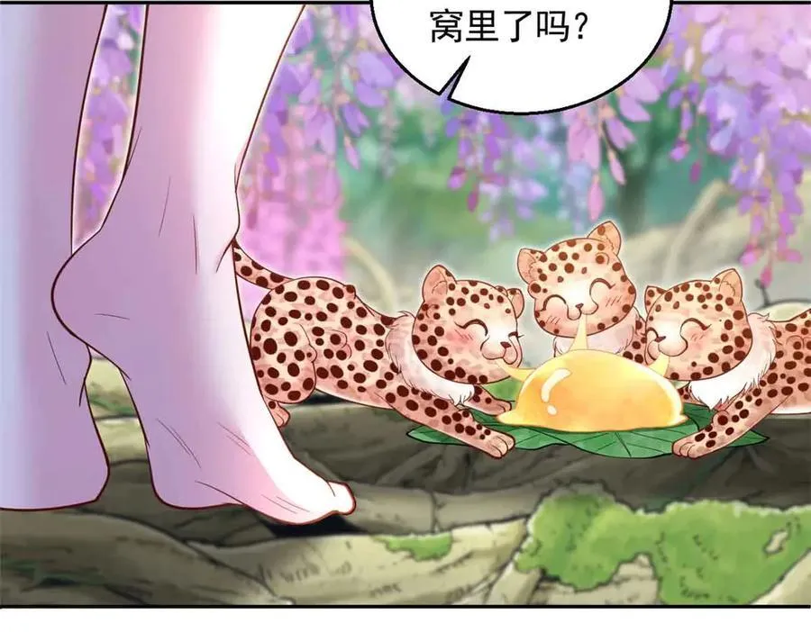 681 第68页