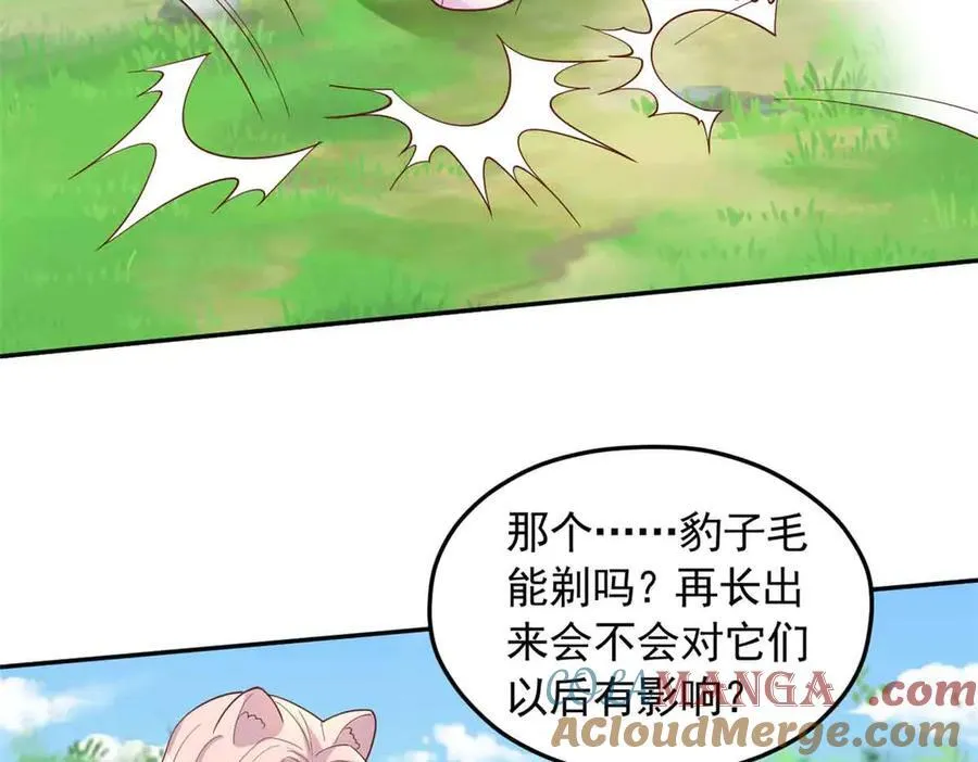 681 第85页