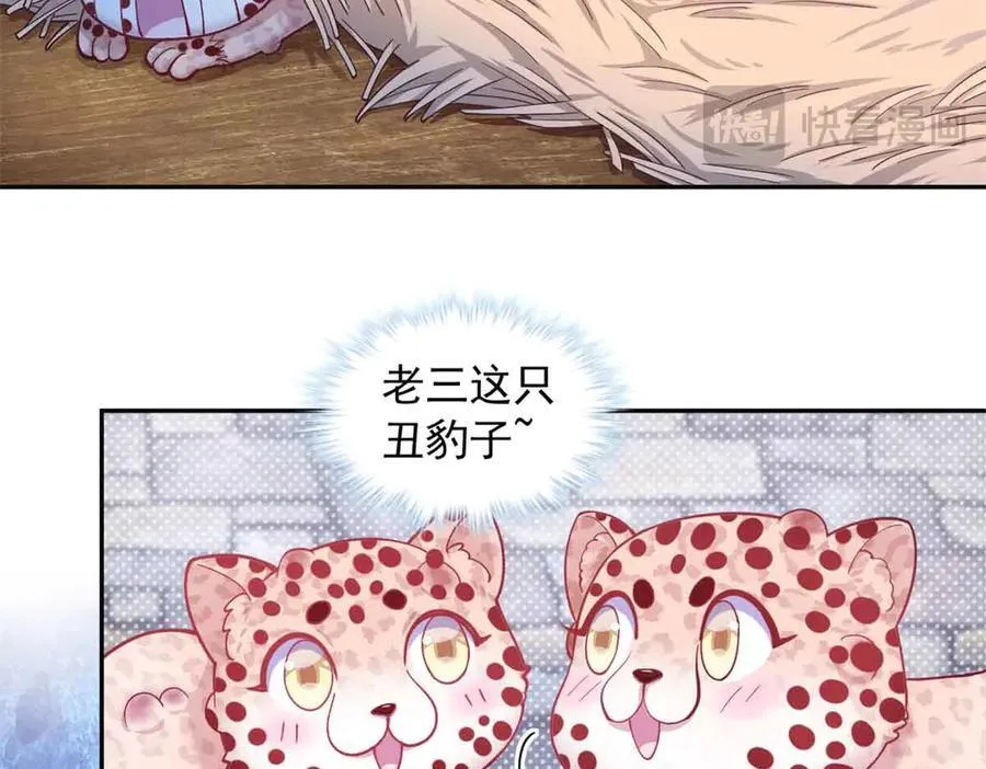 682 第11页