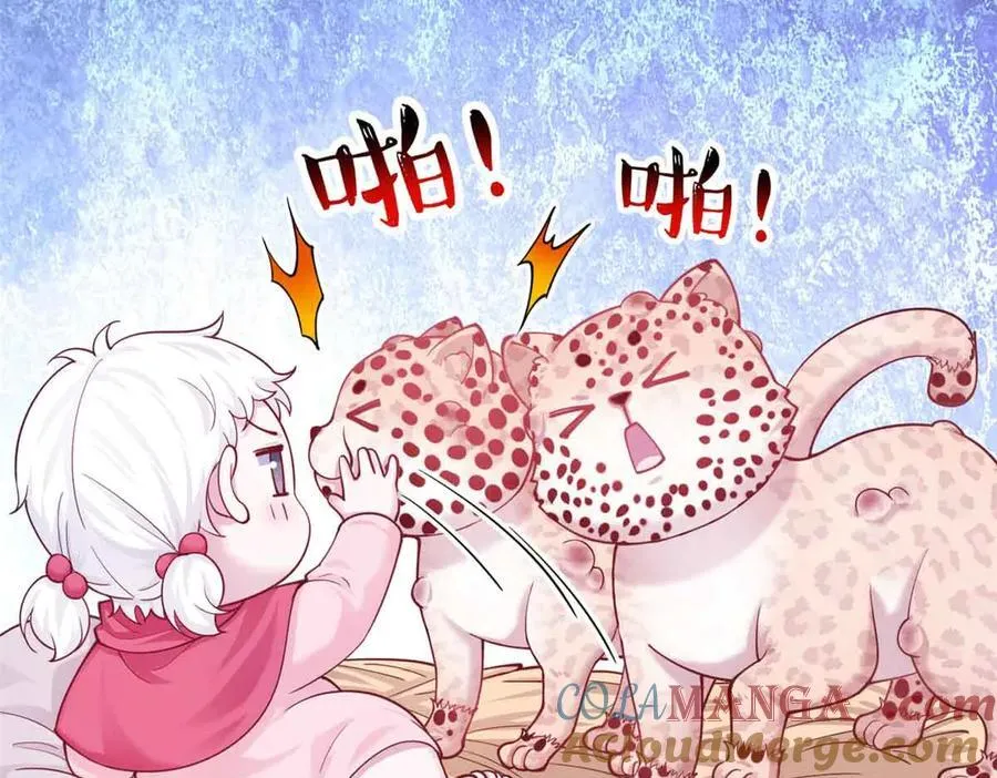 682 第13页