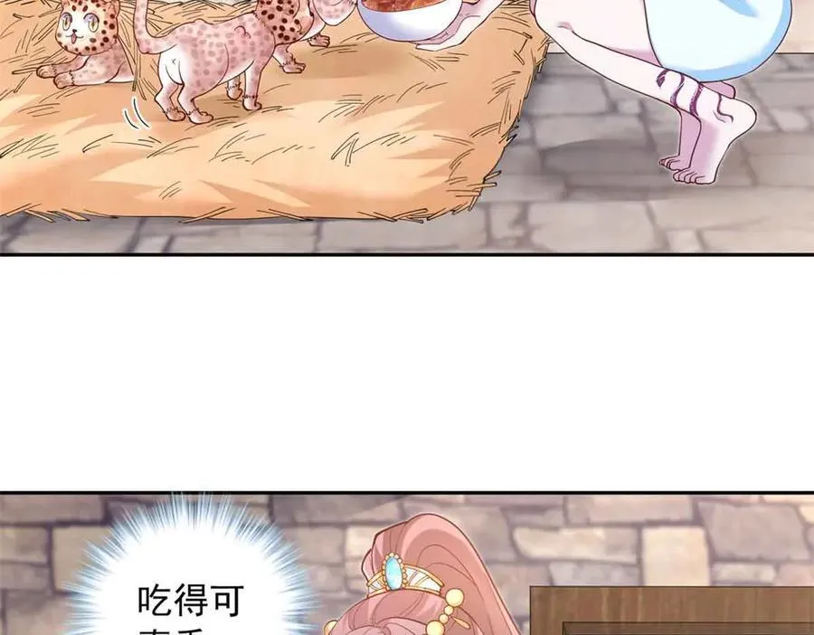 682 第38页
