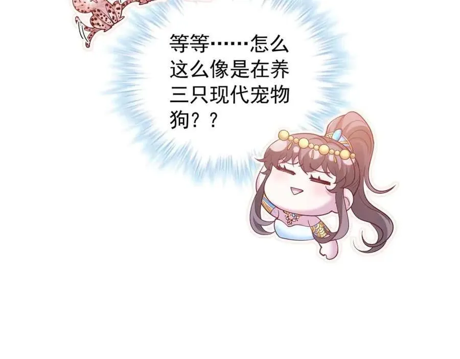 682 第44页