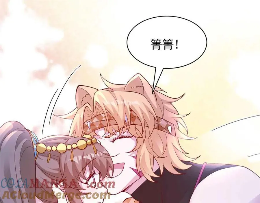 682 第67页