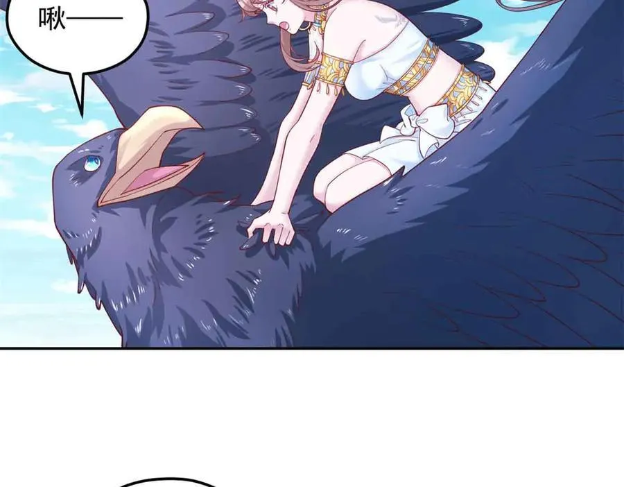684 第17页