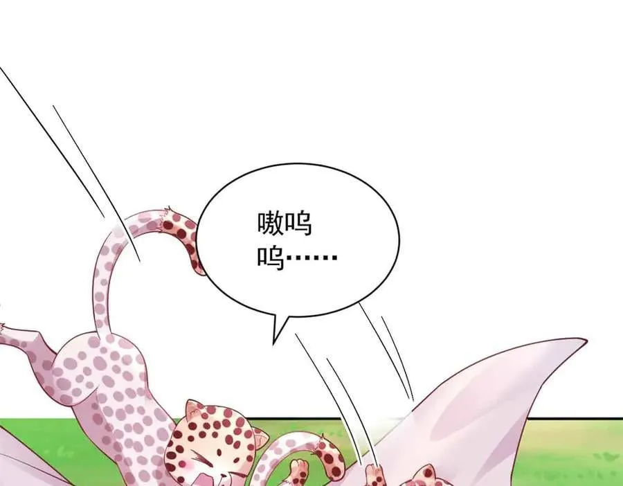 684 第45页