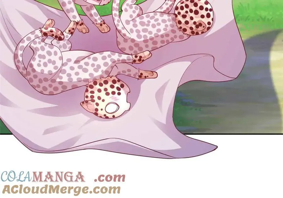 684 第46页