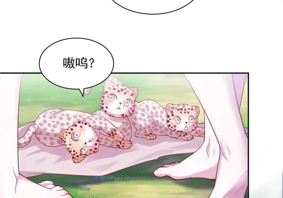 684 第50页