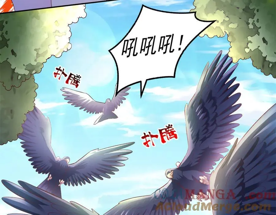 685 第17页