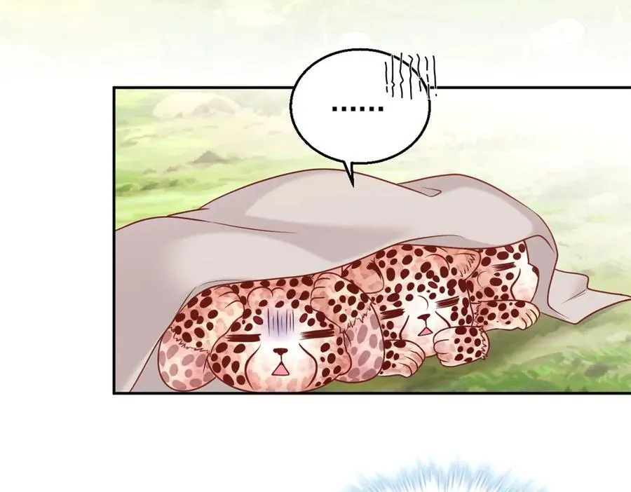 685 第28页
