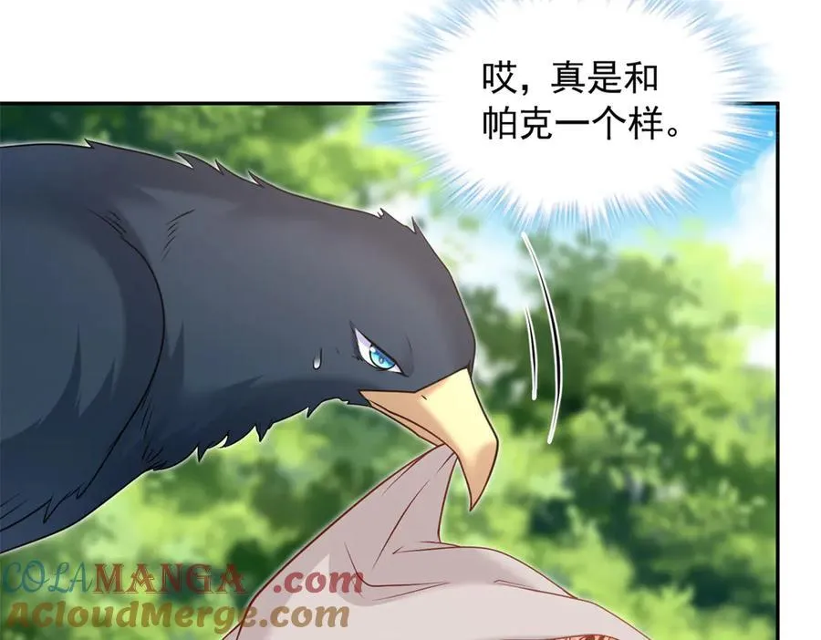 685 第29页