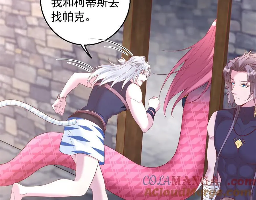 685 第81页