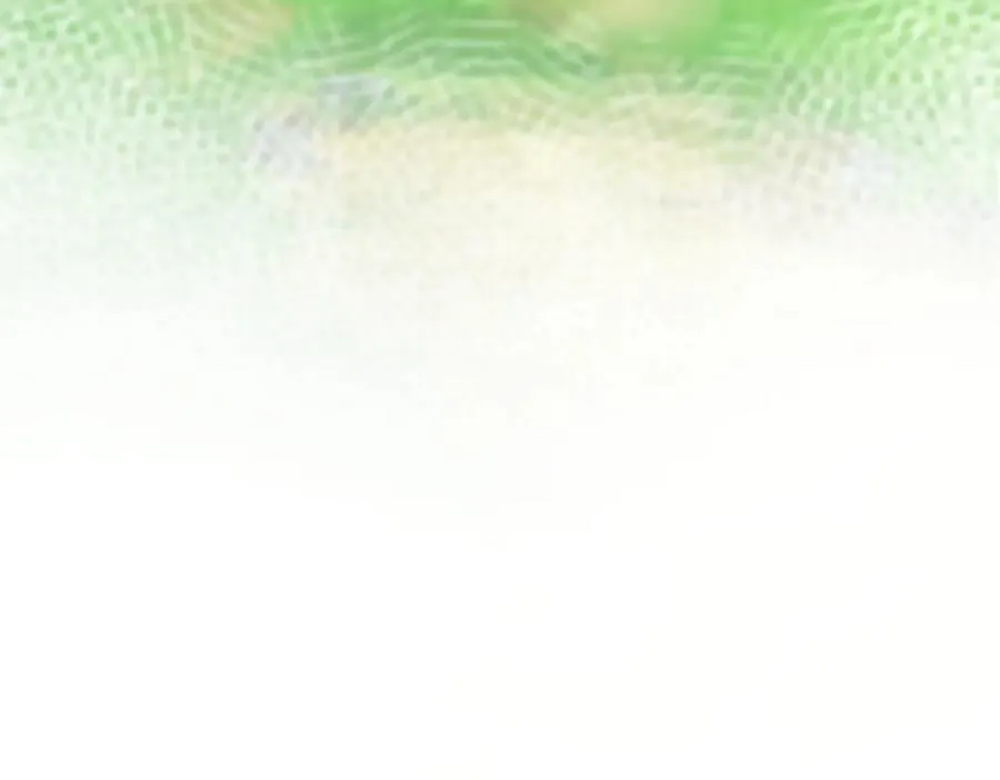 685 第110页