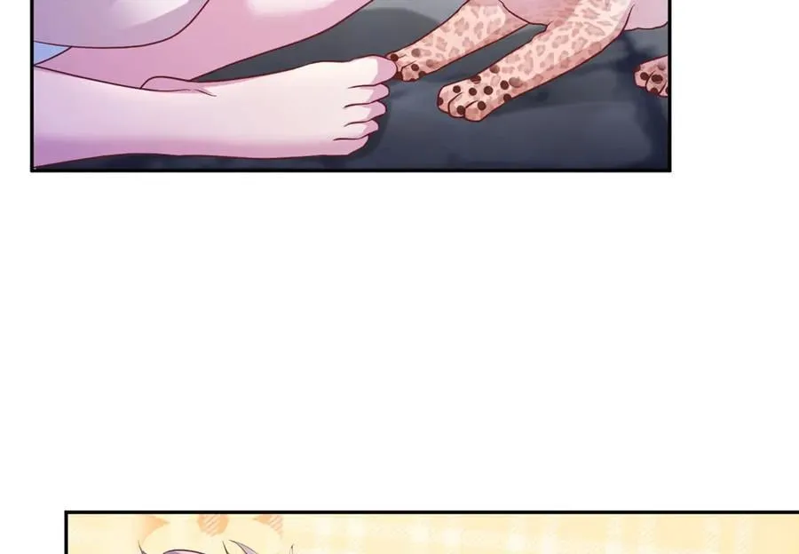 694 第66页