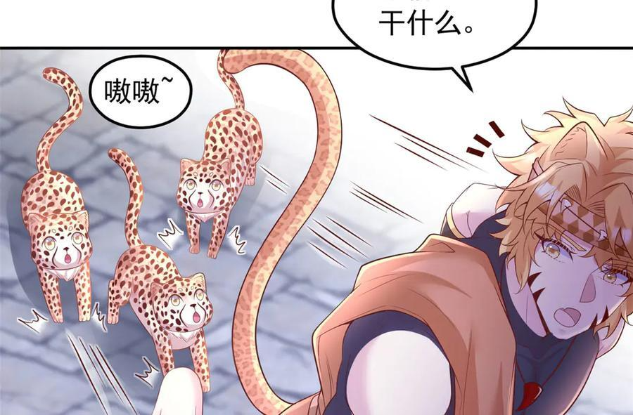697 第41页