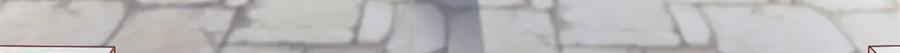 701 第110页