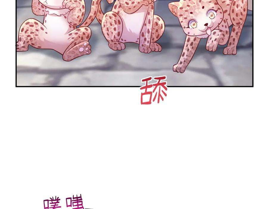 711 第71页
