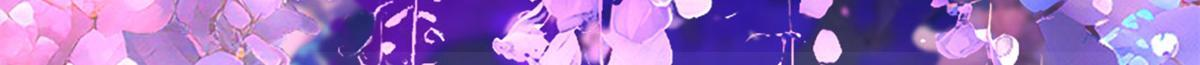 728 第145页
