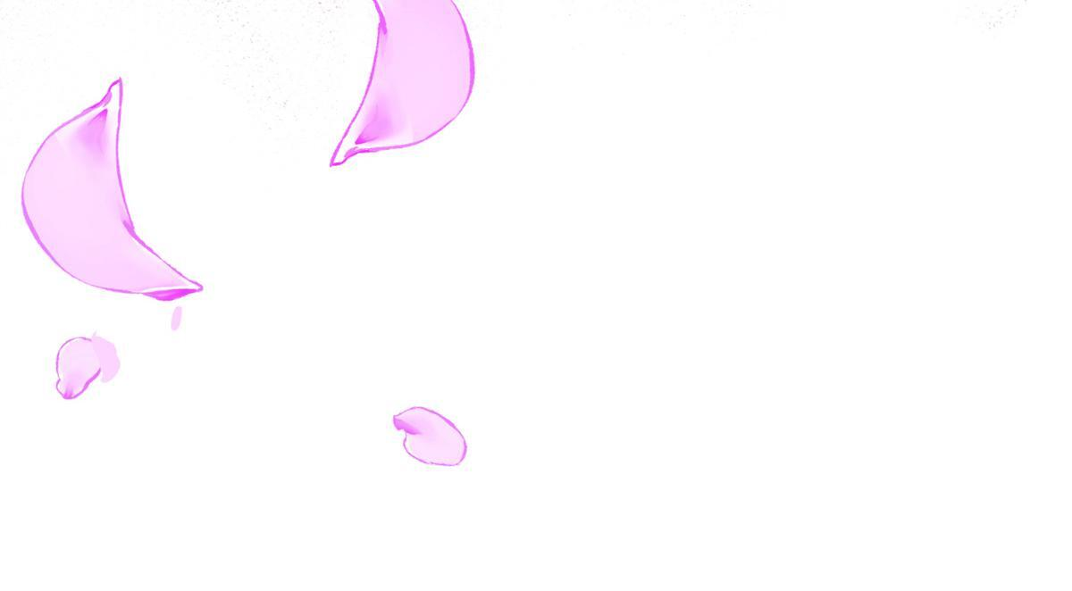 729 第16页