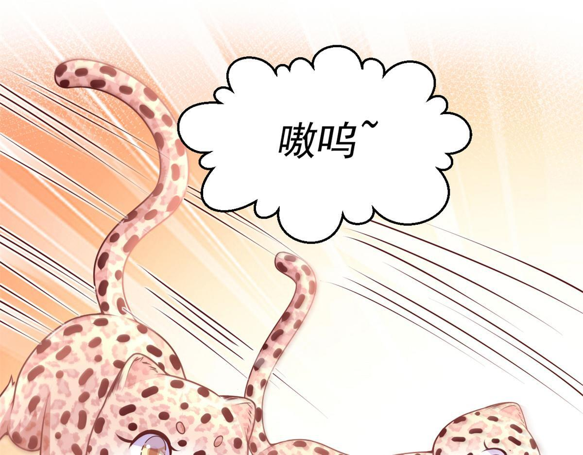 729 第41页