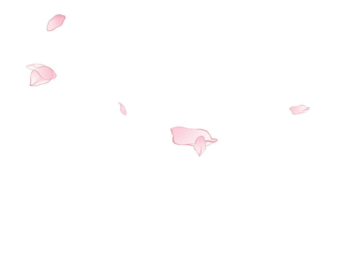 729 第63页